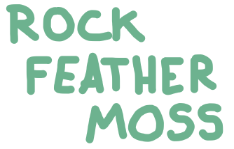 rock feather moss